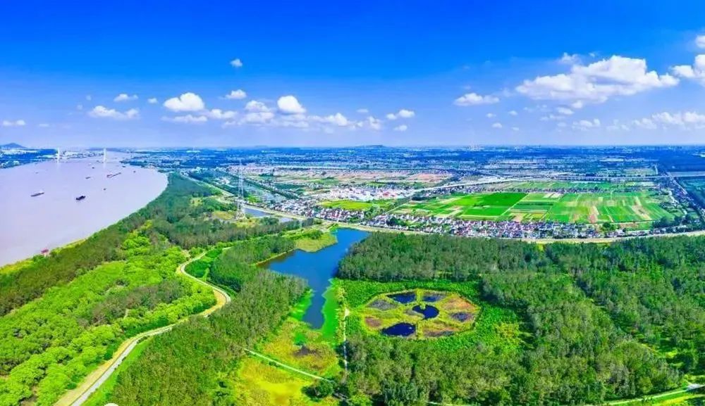 仉阳泽